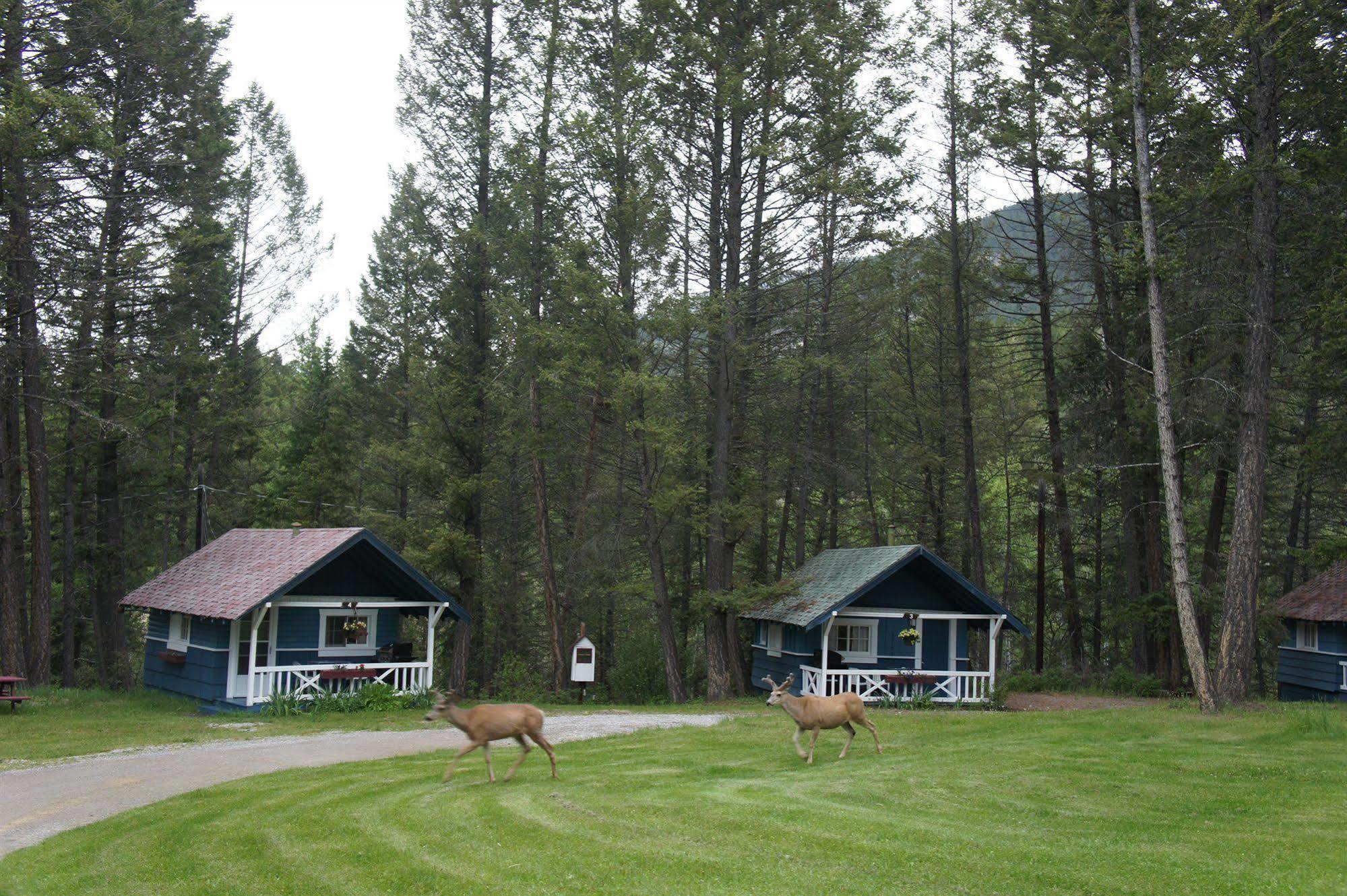 Fairmont Mountain Bungalows Fairmont Hot Springs Exterior photo